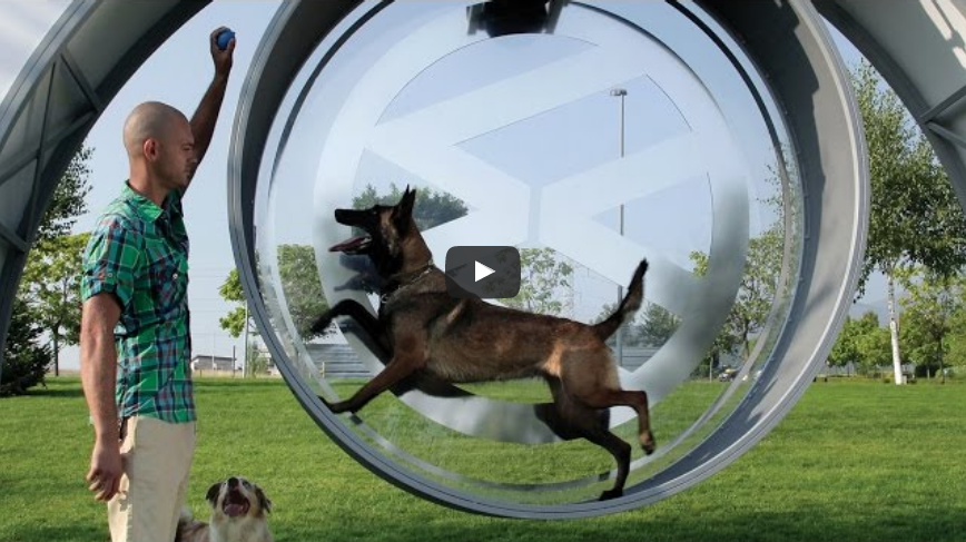 Faire « cavaler » votre chien pour recharger votre smartphone, par Volkswagen