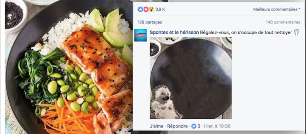 Le hérisson récure les plats des pages food sur Facebook