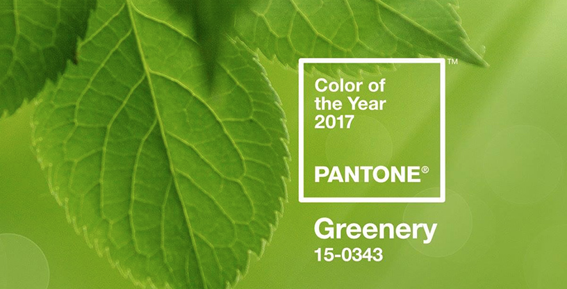 « Greenery » couleur de l’année 2017 dévoilée par Pantone