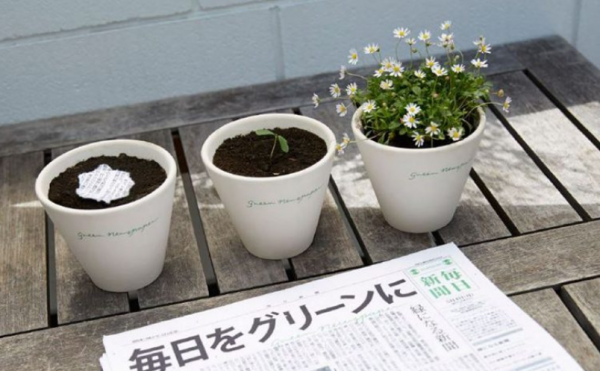 mainichi-qutidien-planter-fleurie-pot-1