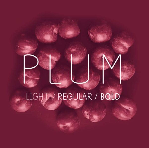 PLUM-typographie-gratuite_1