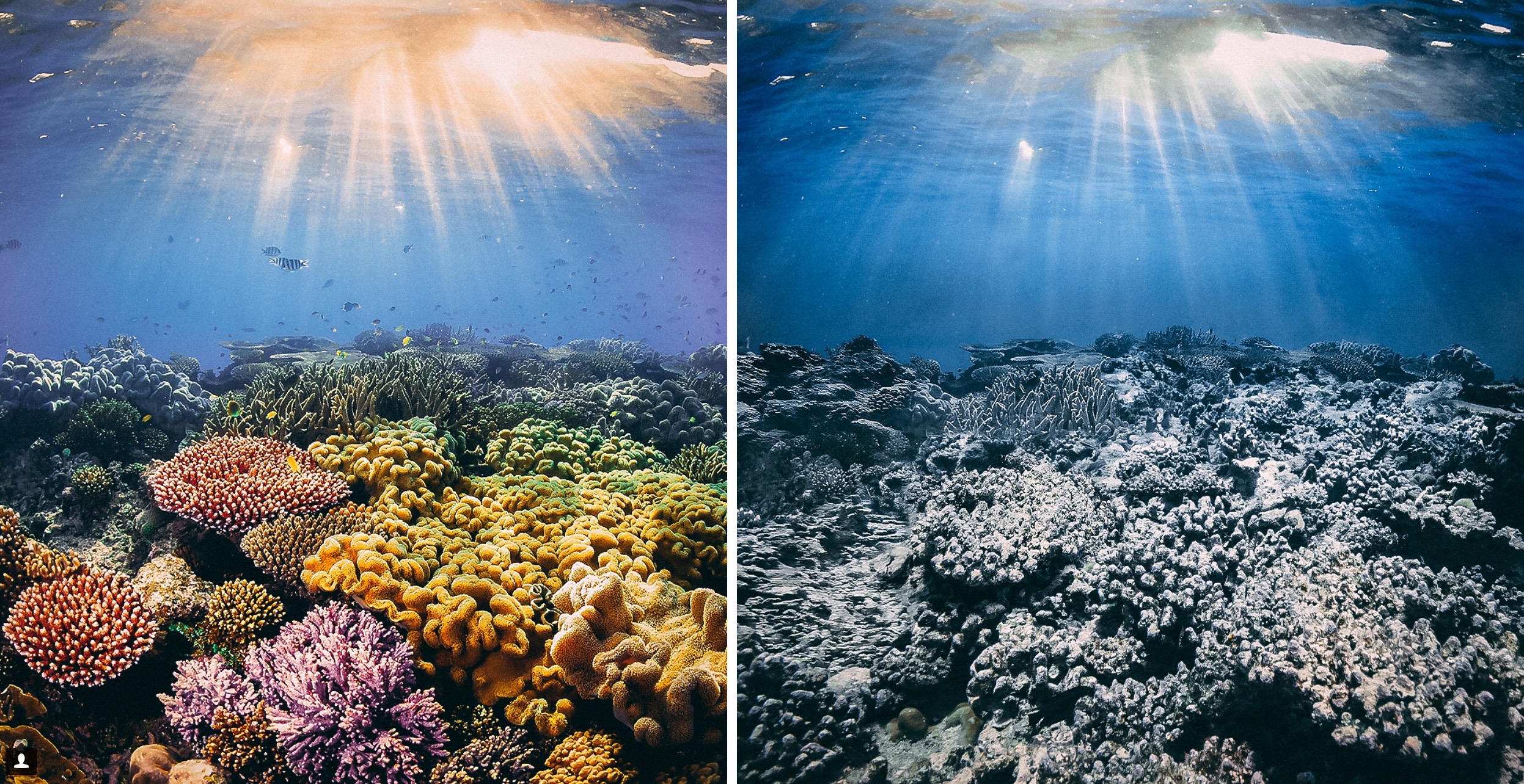 WWF dévoile l’avant/après de magnifiques paysages via Instagram