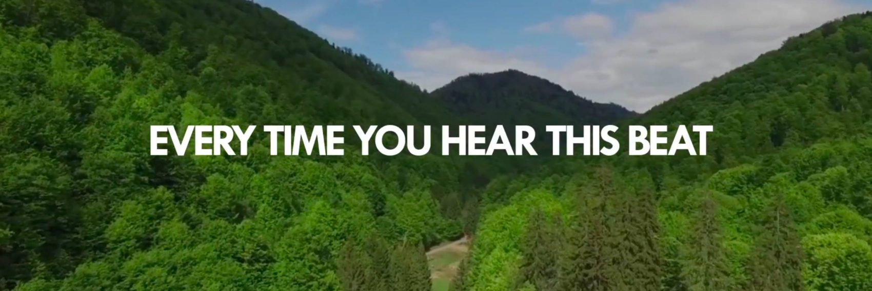 WWF et Virgin radio Romania joignent leurs forces pour lutter contre la déforestation.