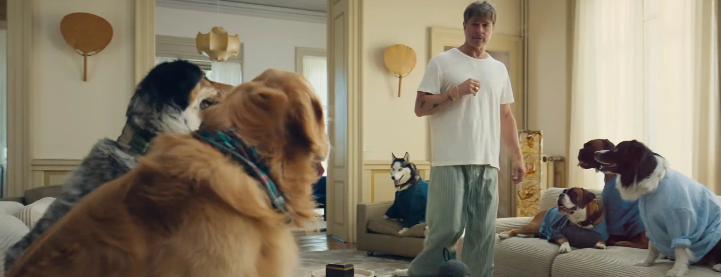 Brad Pitt, les chiens et DeLonghi : mais quel rapport ?